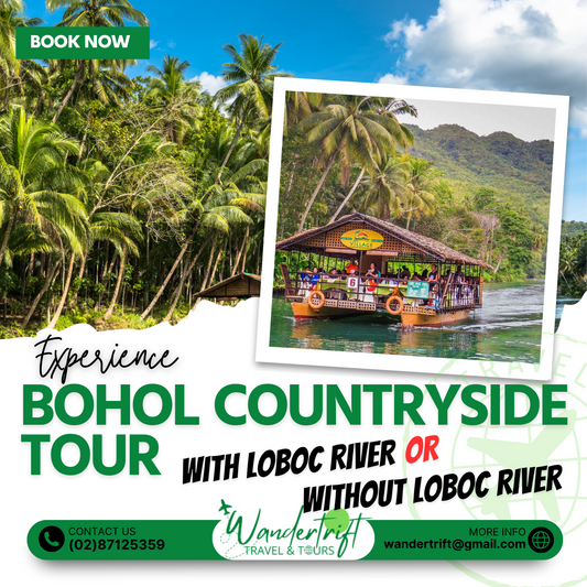 BOHOL COUNTRY SIDE TOUR