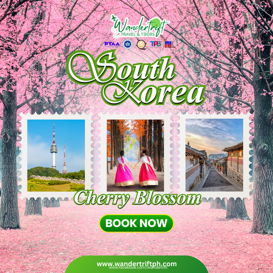 CHERRY BLOSSOMS IN SOUTH KOREA