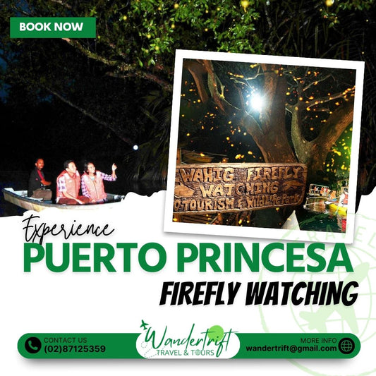 PUERTO PRINCESA FIREFLY WATCHING