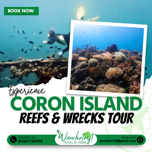 CORON REEFS & WRECKS TOUR